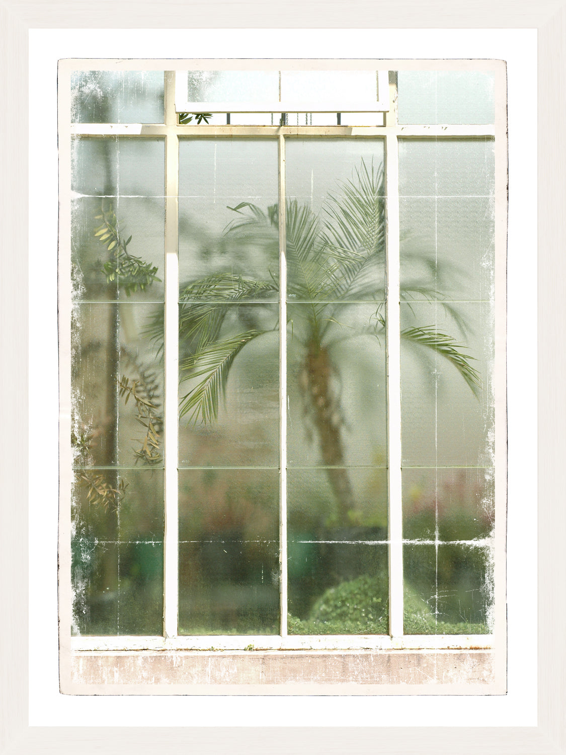 Greenhouse Series XII
