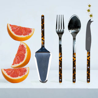 Maison Tart Server, Tortoise