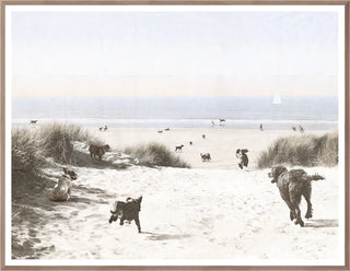All Dogs to the Beach