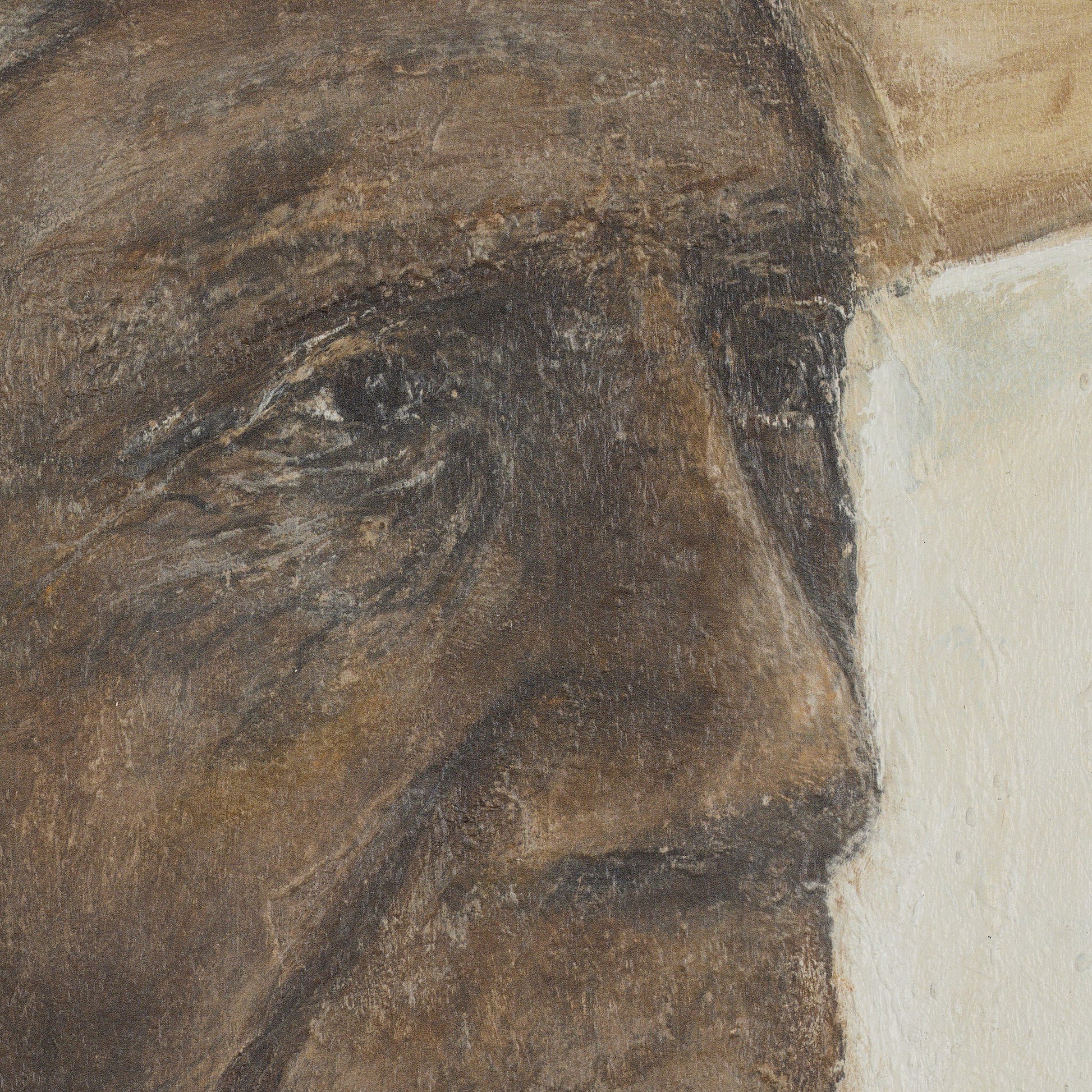 Vaquero II by Paul Meyer