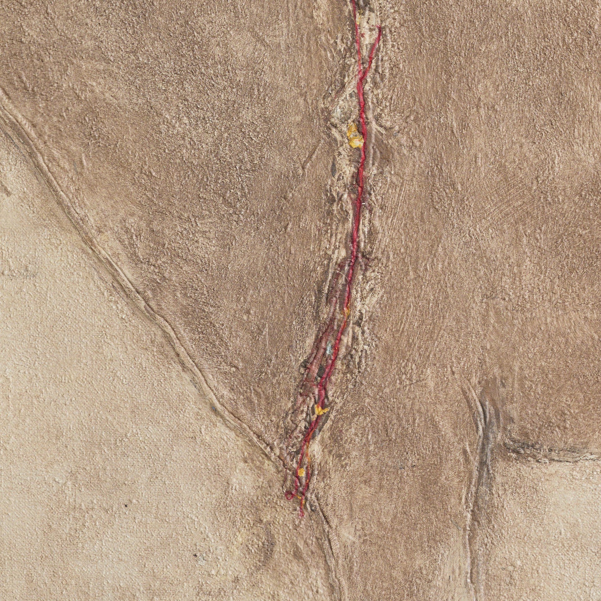 Burro Marron by Paul Meyer