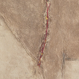 Burro Marron by Paul Meyer