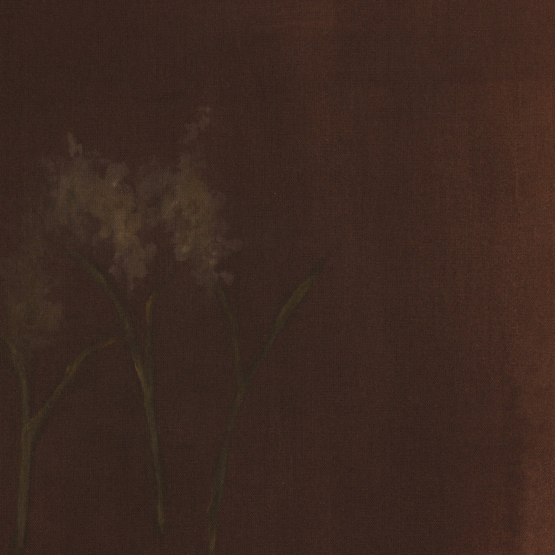 Bloom III by Brittney Schulz