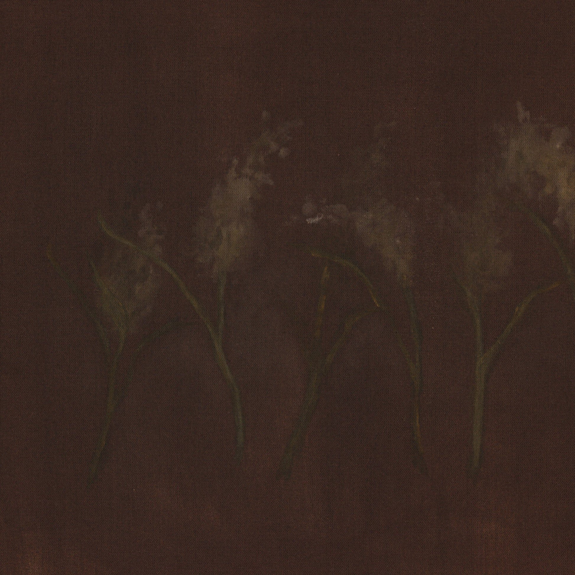 Bloom III by Brittney Schulz