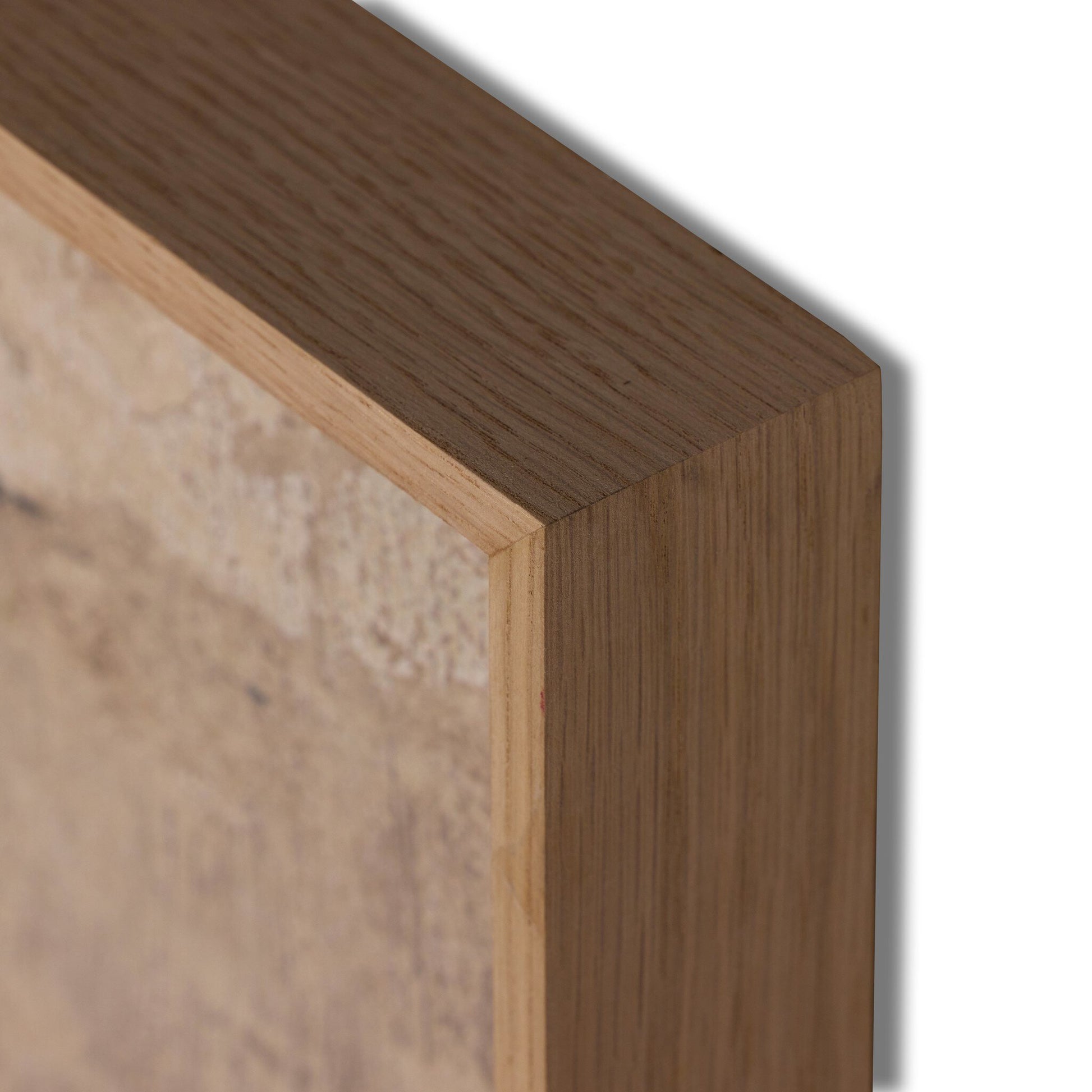 Promise Land by Paul Meyer