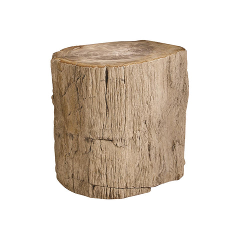 Petrified Wood Side Table