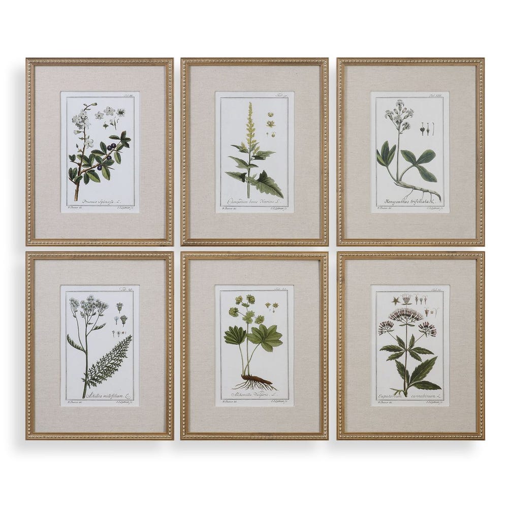 Garden Botanicals