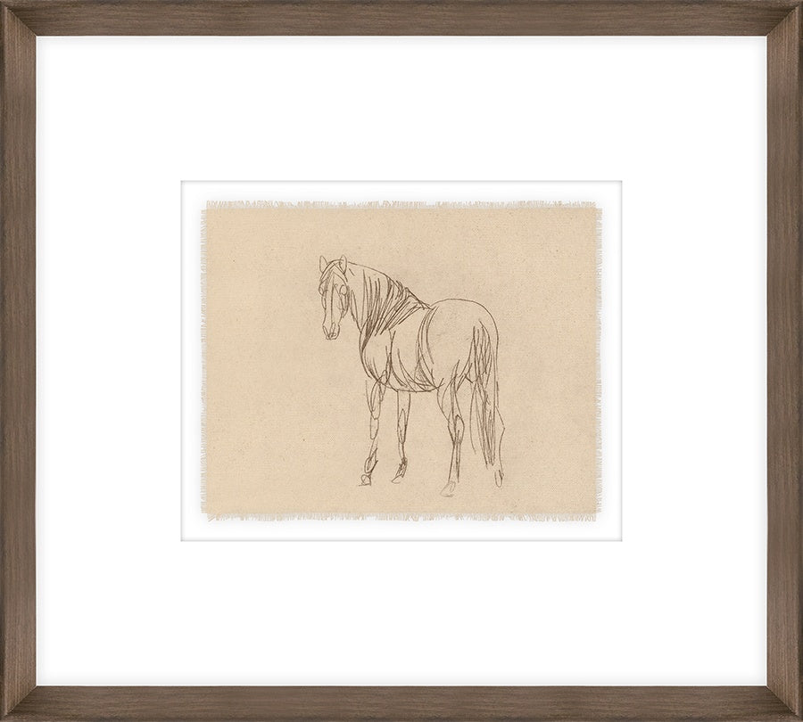 Equine Sketch