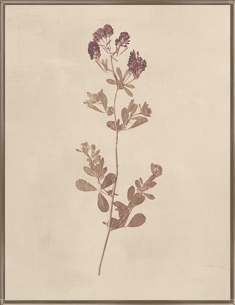 Garden Floral II