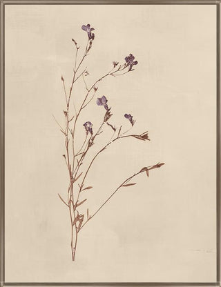 Garden Floral