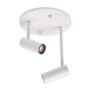 Downey Semi-Flush Mount