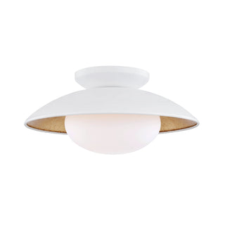 Cadence One Light Semi Flush Mount