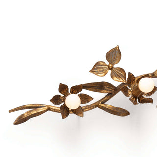 Trillium Five Light Wall Sconce