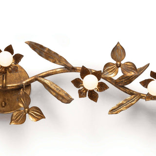 Trillium Five Light Wall Sconce