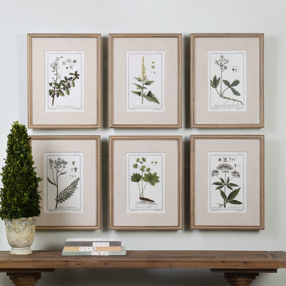 Garden Botanicals