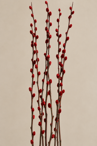 Red Willow Stems