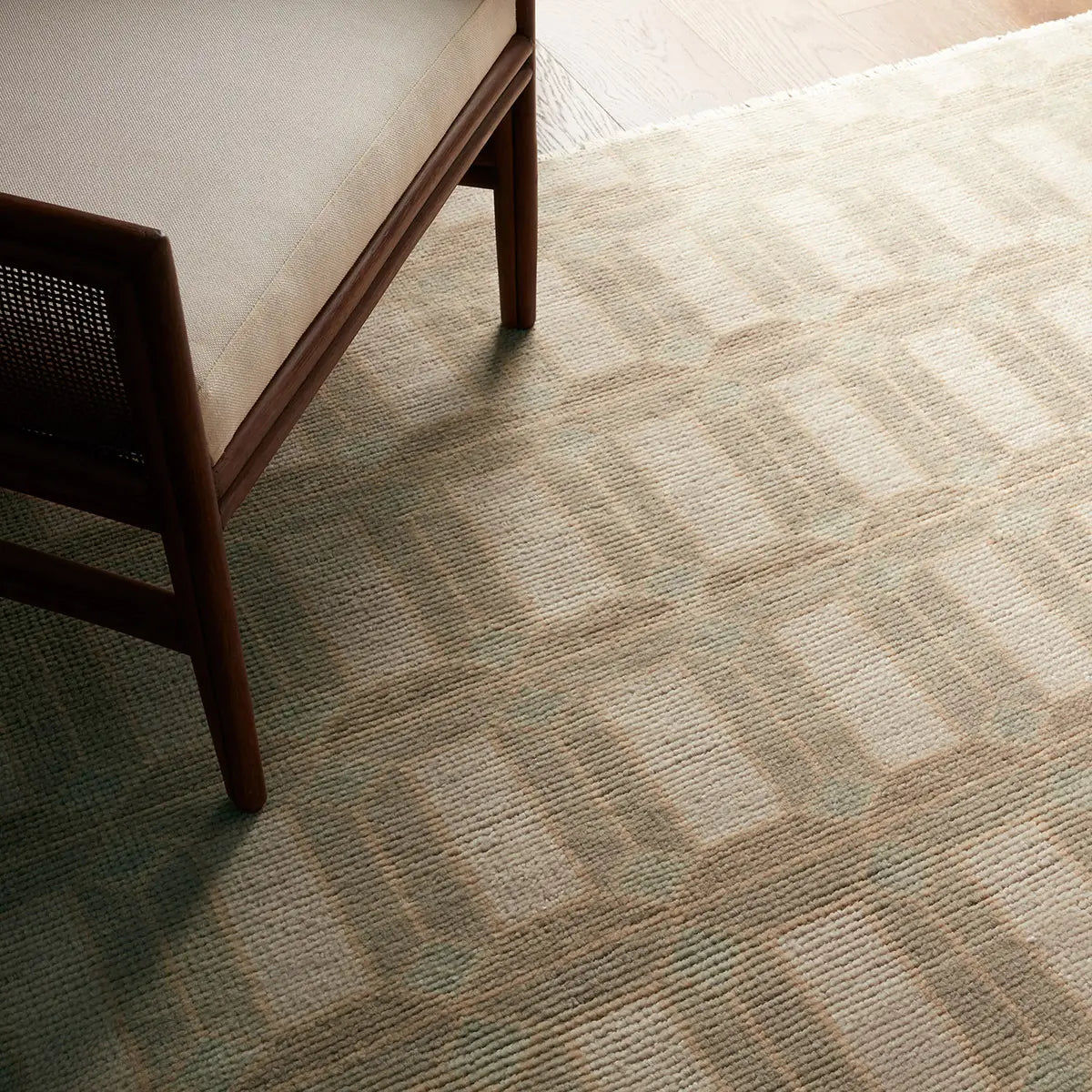 Vaila Rug