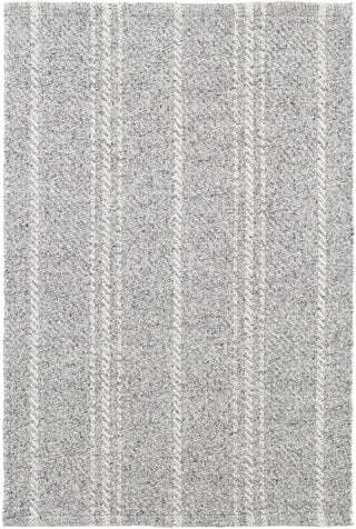 Melange Stripe Grey/Ivory Handwoven Indoor/Outdoor Rug - DA1029 - 10x14