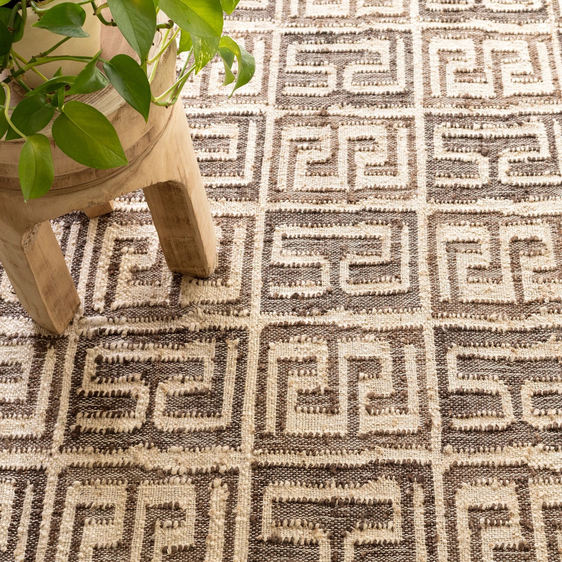 Auricula Handwoven Jute Rug - DA1119 - 10x14