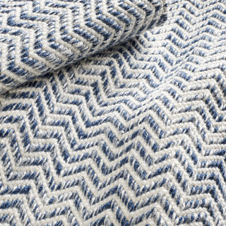 Coastal Blue Handwoven Indoor/Outdoor Rug - DA1336 - 9x12