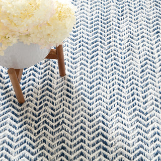 Coastal Blue Handwoven Indoor/Outdoor Rug - DA1336 - 9x12