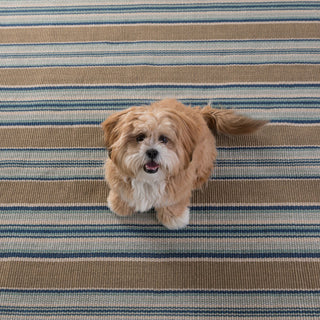 Blue Heron Stripe Handwoven Indoor/Outdoor Rug - DA142 - Runner-2.5x20