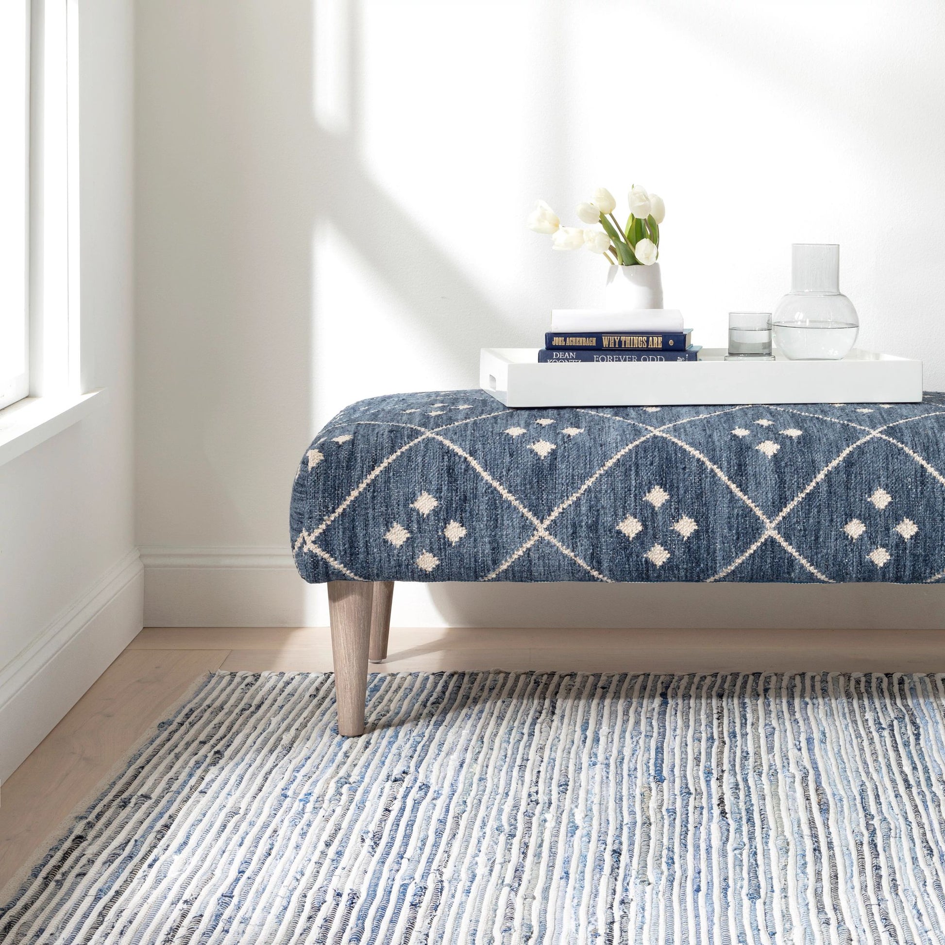 Denim Rag Ribbed Handwoven Cotton Rug - DA1678 - 10x14