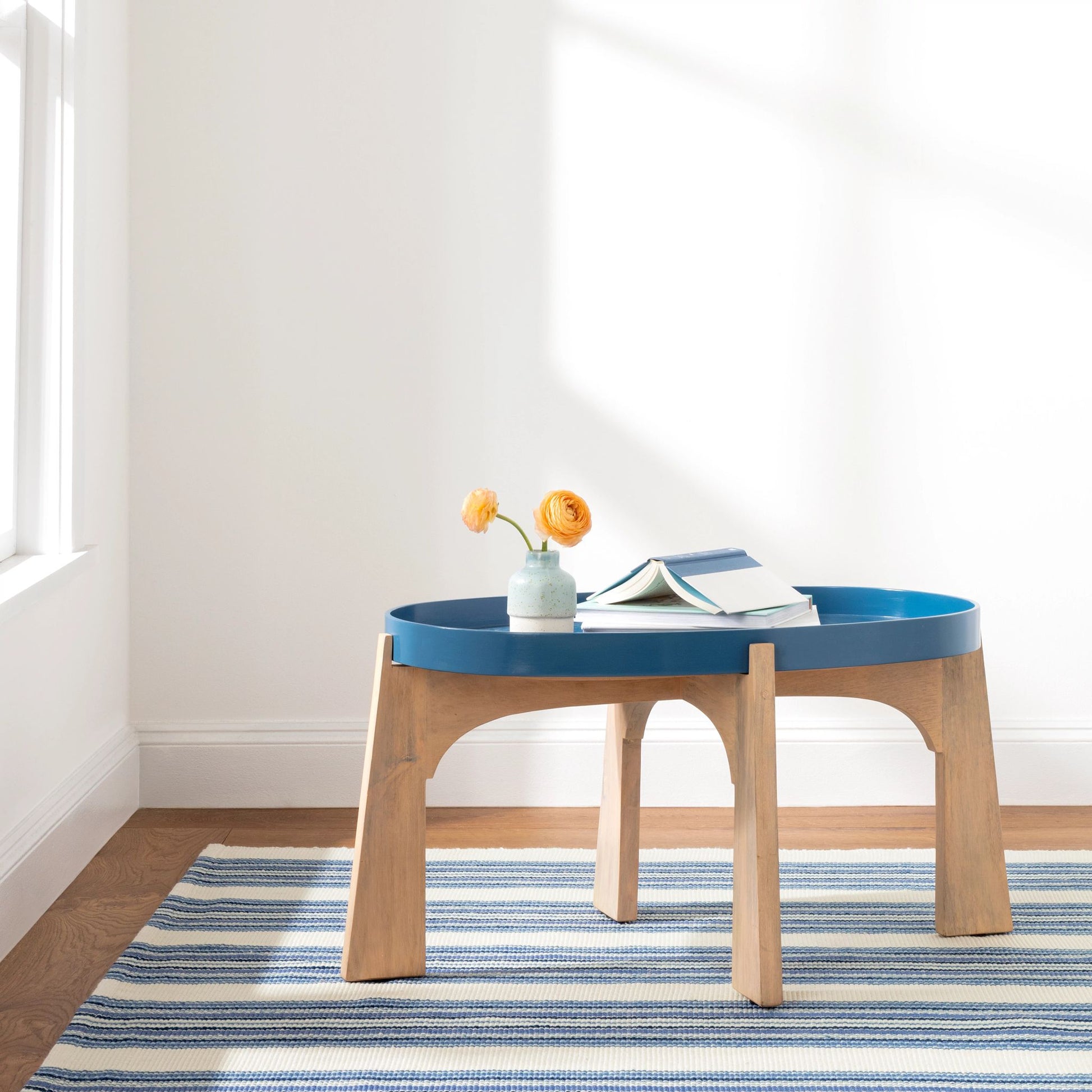 Road Runner Blue Handwoven Indoor/Outdoor Rug - DA1735 - 10x14
