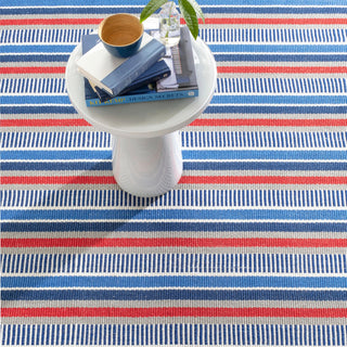 Always Greener Blue/Red Handwoven Indoor/Outdoor Rug - DA1738 - 5x8