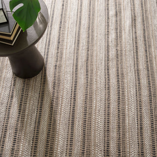 Sooner Than Later Neutral Handwoven Indoor/Outdoor Rug - DA1781 - 10x14