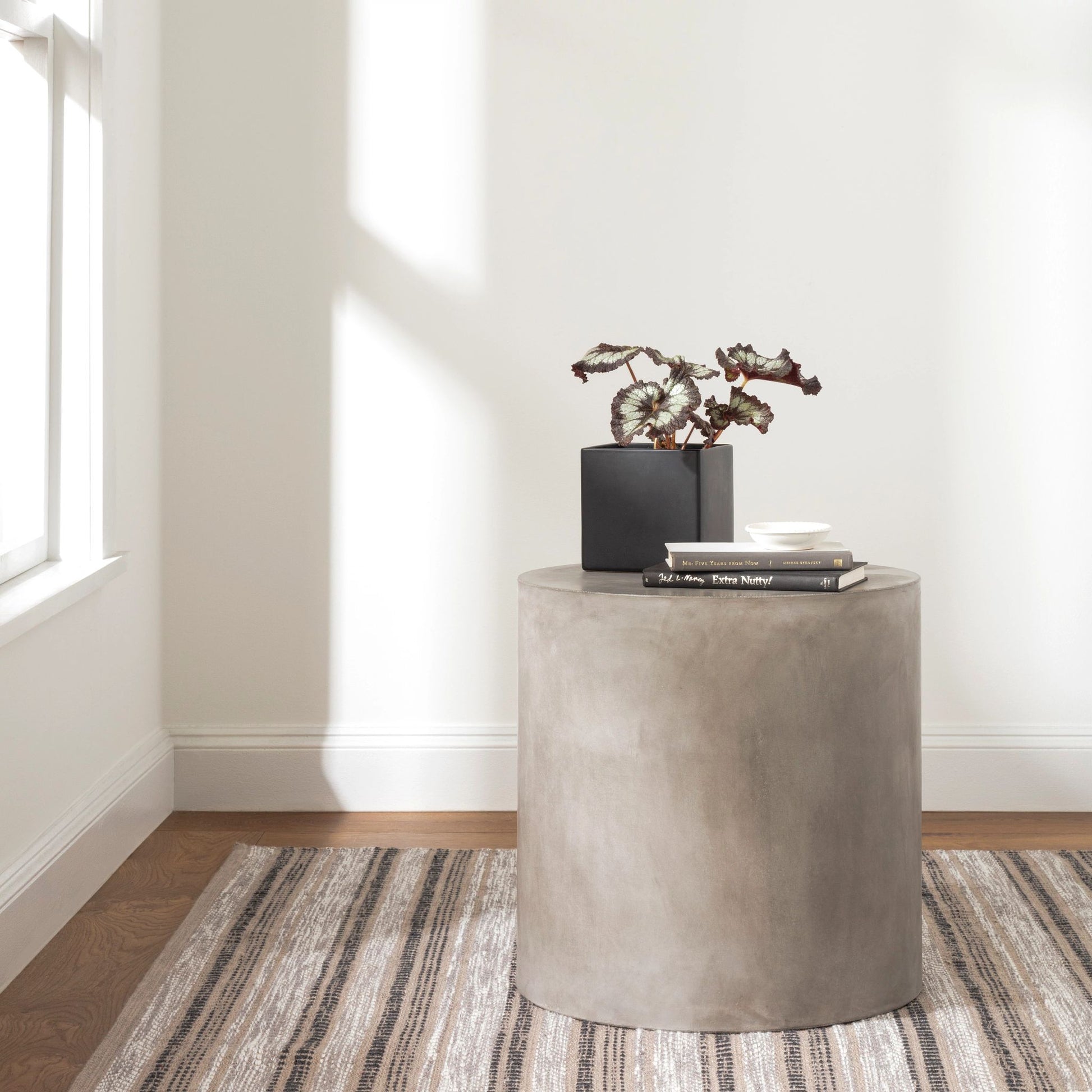 Sooner Than Later Neutral Handwoven Indoor/Outdoor Rug - DA1781 - 10x14