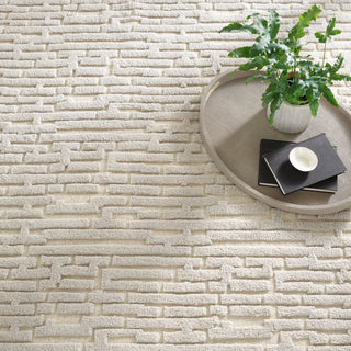 Gates Plaster Hand Knotted Wool Rug - DA1849 - 10x14