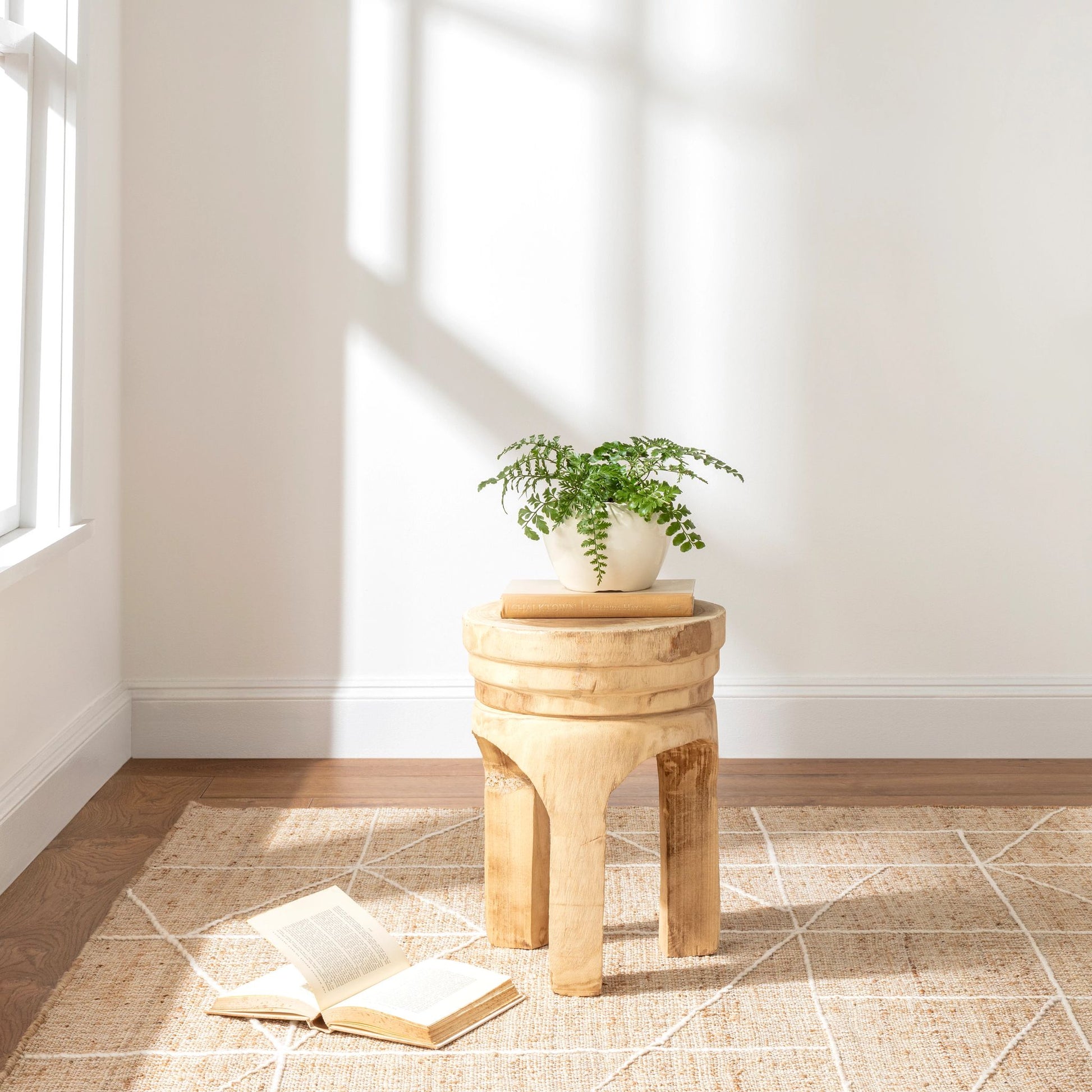 Judson Natural/Ivory Handwoven Jute Rug - DA1850 - 10x14