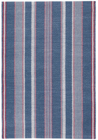 Camden Stripe Denim Handwoven Cotton Rug - DA1957 - 10x14