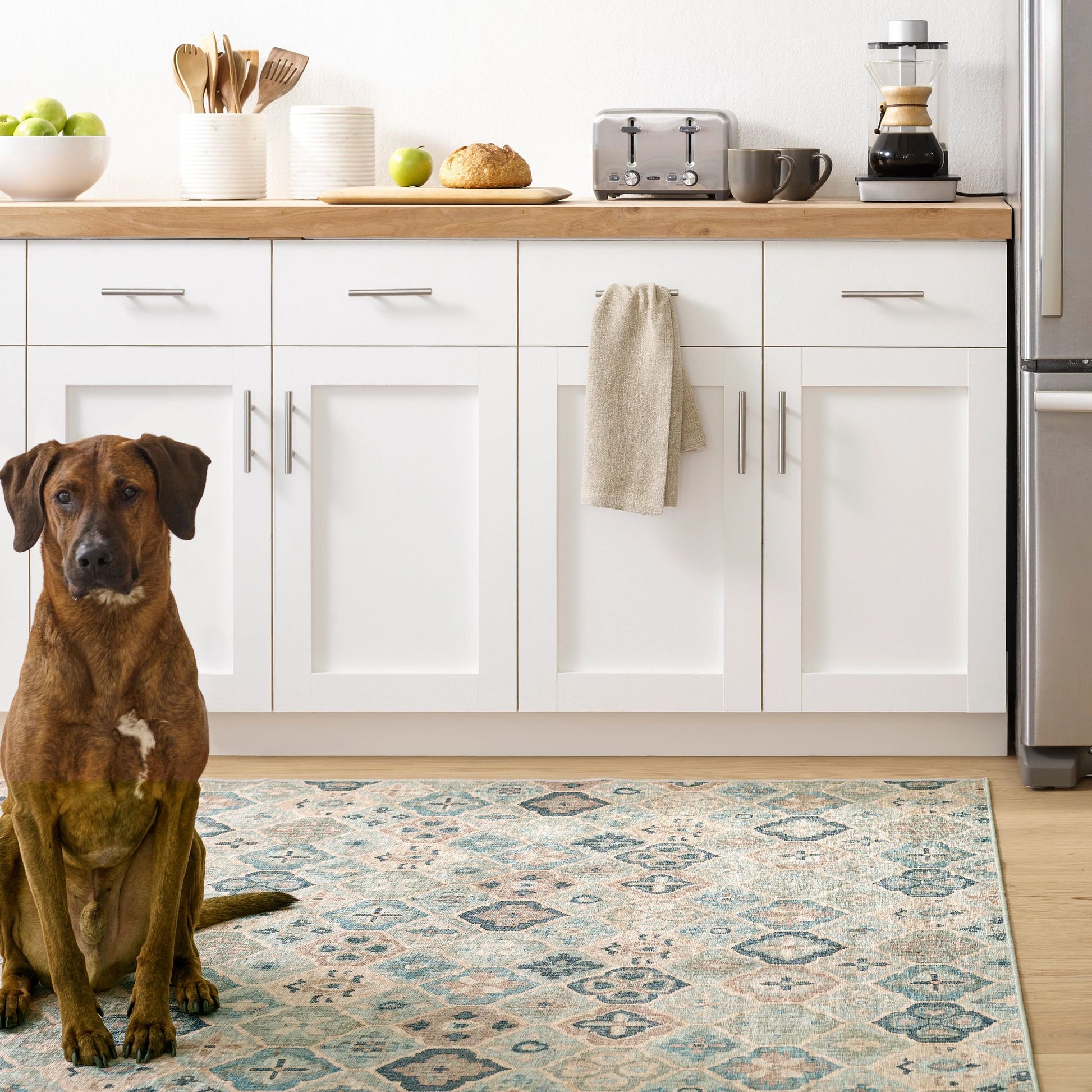 Pali Blue Machine Washable Rug - DA2050 - 8x10