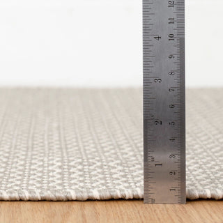Finn Platinum Handwoven Indoor/Outdoor Rug - DA2144 - 10x14