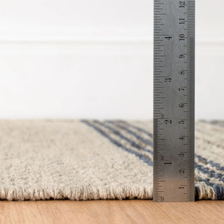 Cielo Stripe Navy Handwoven Cotton Rug - DA2205 - 10x14