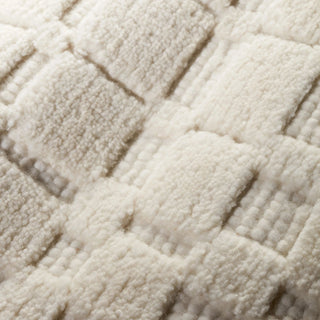 Isadora Ivory Handwoven Wool Rug - DA2305 - 10x14