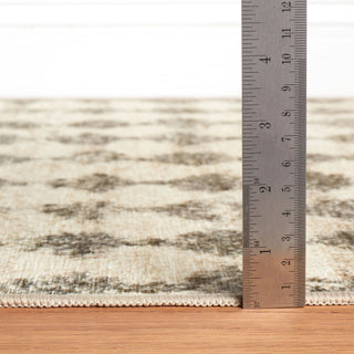Izzy Grey Machine Washable Rug - DA2318 - 8x10