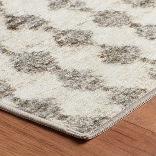 Izzy Grey Machine Washable Rug - DA2318 - 8x10
