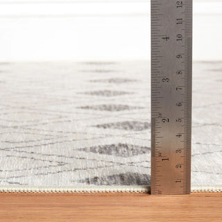 Chandler Ivory Machine Washable Rug - DA2327 - 8x10