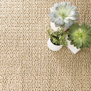 Veranda Natural Handwoven Performance Rug - DA554 - 10x14