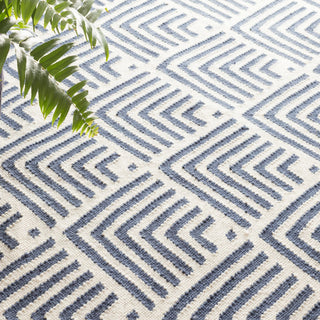 Cleo Navy Handwoven Indoor/Outdoor Rug - DA772 - 10x14
