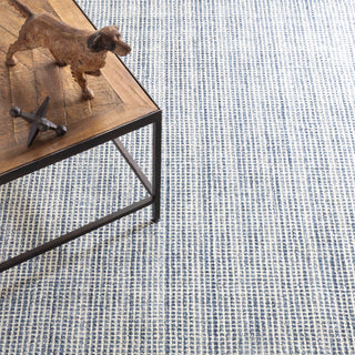 Homer Blue Hand Loom Knotted Wool/Viscose Rug - DA862 - 10x14