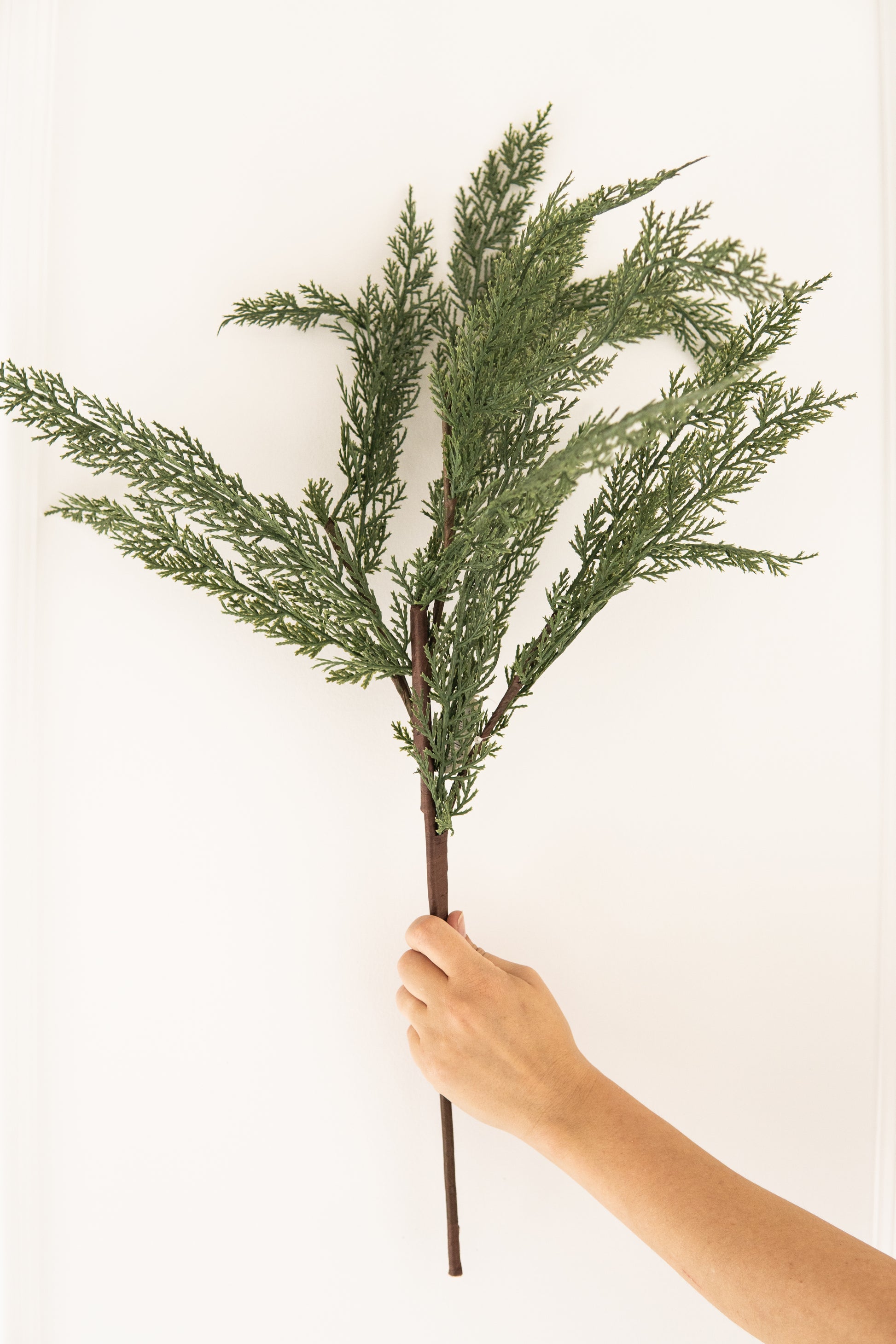 Whispy Greenery Stem