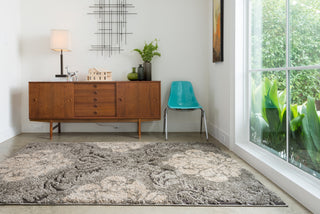 Enchant Smoke / Beige Rug