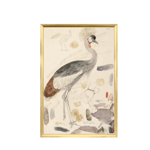 Edward Lear, Crane