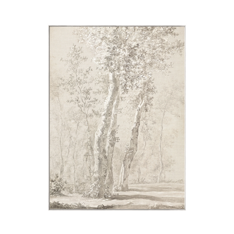 Pencil Sunlit Trees