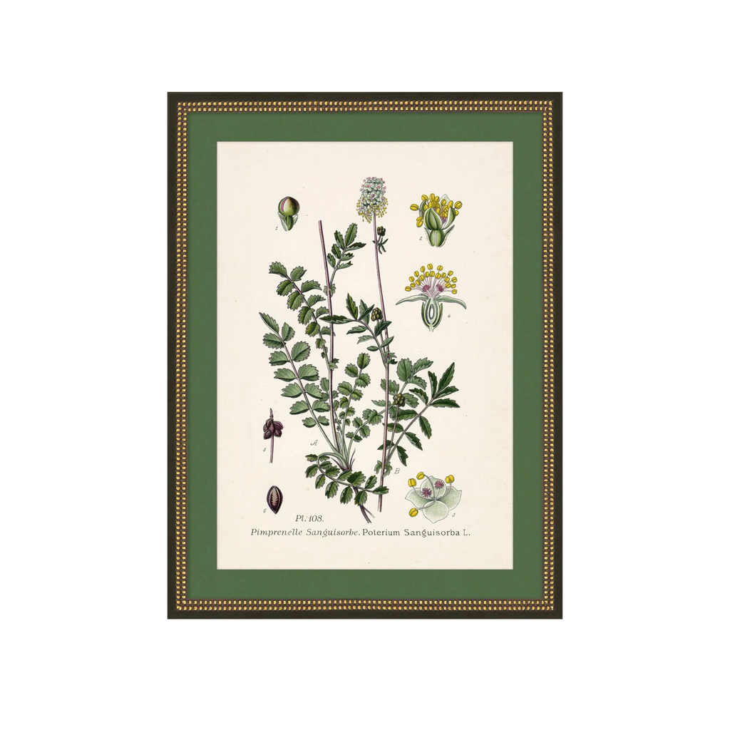 Wildflower Study I
