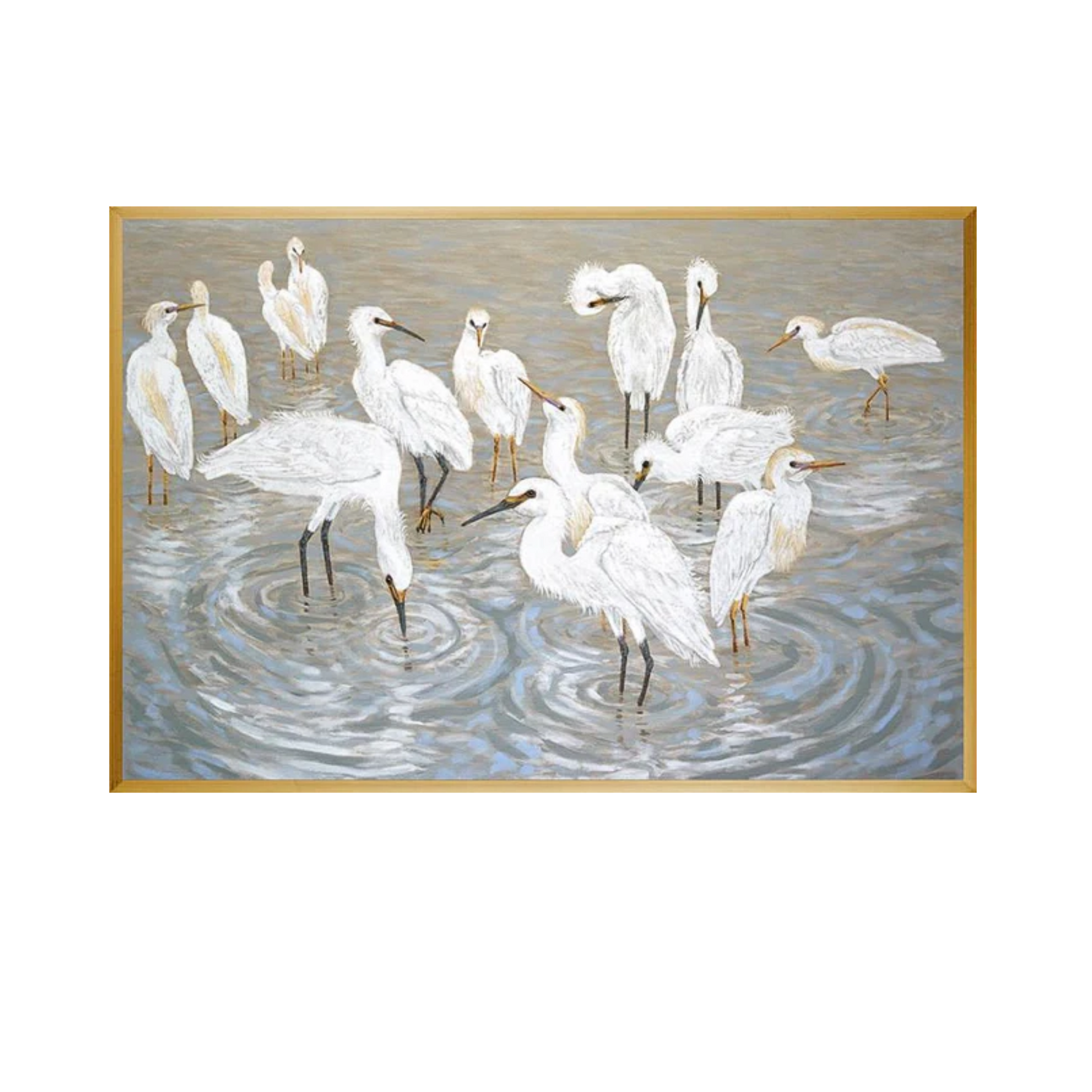 Herons & Egrets